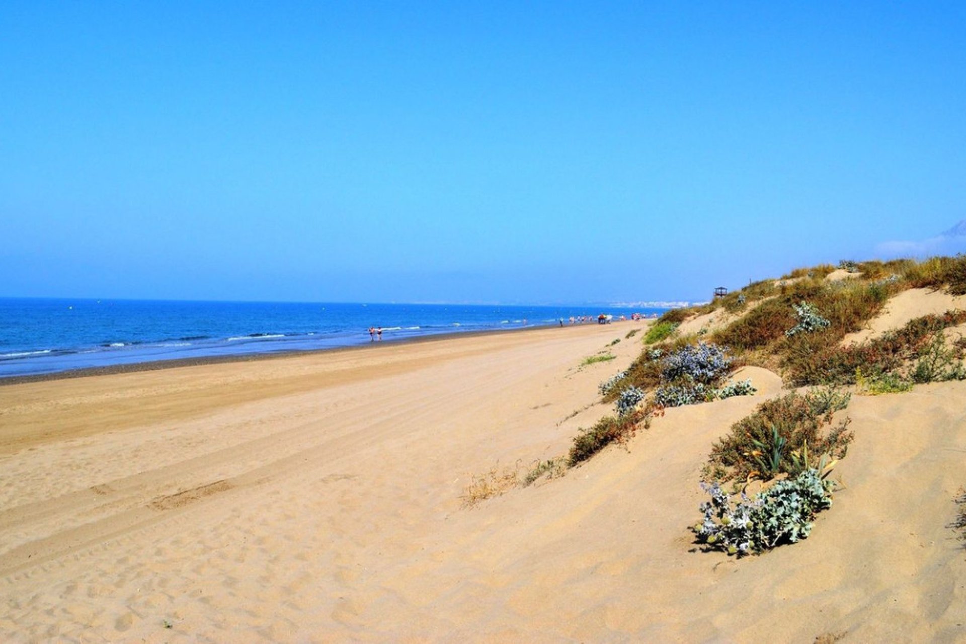 Obra nueva - Plot - Residential Plot - Marbella - Elviria