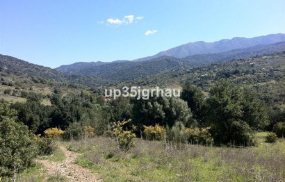 Plot - Land - Resale - Casares - Casares Centro