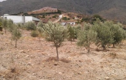 Plot - Land - Resale - Estepona - Estepona Centro