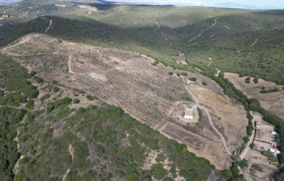 Plot - Land - Resale -
            Manilva - RSF-51945