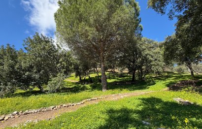 Plot - Land - Reventa - Casares - Casares Centro