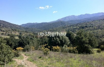 Plot - Land - Reventa -
            Casares - RSF-40059