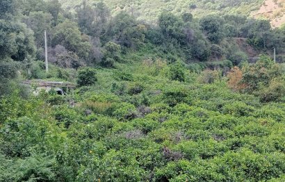 Plot - Land with Ruin - Resale - Estepona - Estepona Centro