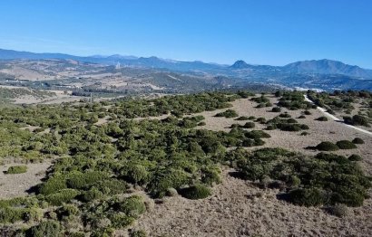 Plot - Land with Ruin - Resale - Sotogrande -
                Sotogrande