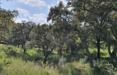 Plot - Residential Plot - Resale -
            Sotogrande - RSF-22733