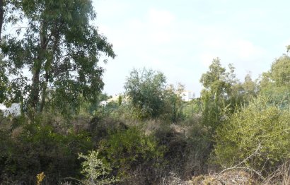 Plot - Residential Plot - Resale - Sotogrande - Sotogrande