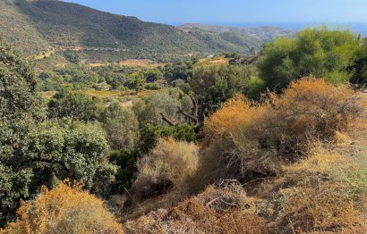 Plot - Residential Plot - Reventa - Benahavís - Benahavís Centro