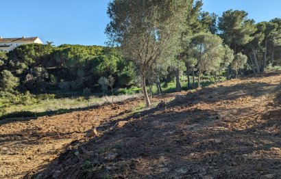 Plot - Residential Plot - Reventa - Sotogrande - Sotogrande