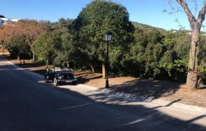 Plot - Residential Plot - Reventa - Sotogrande -
                Sotogrande