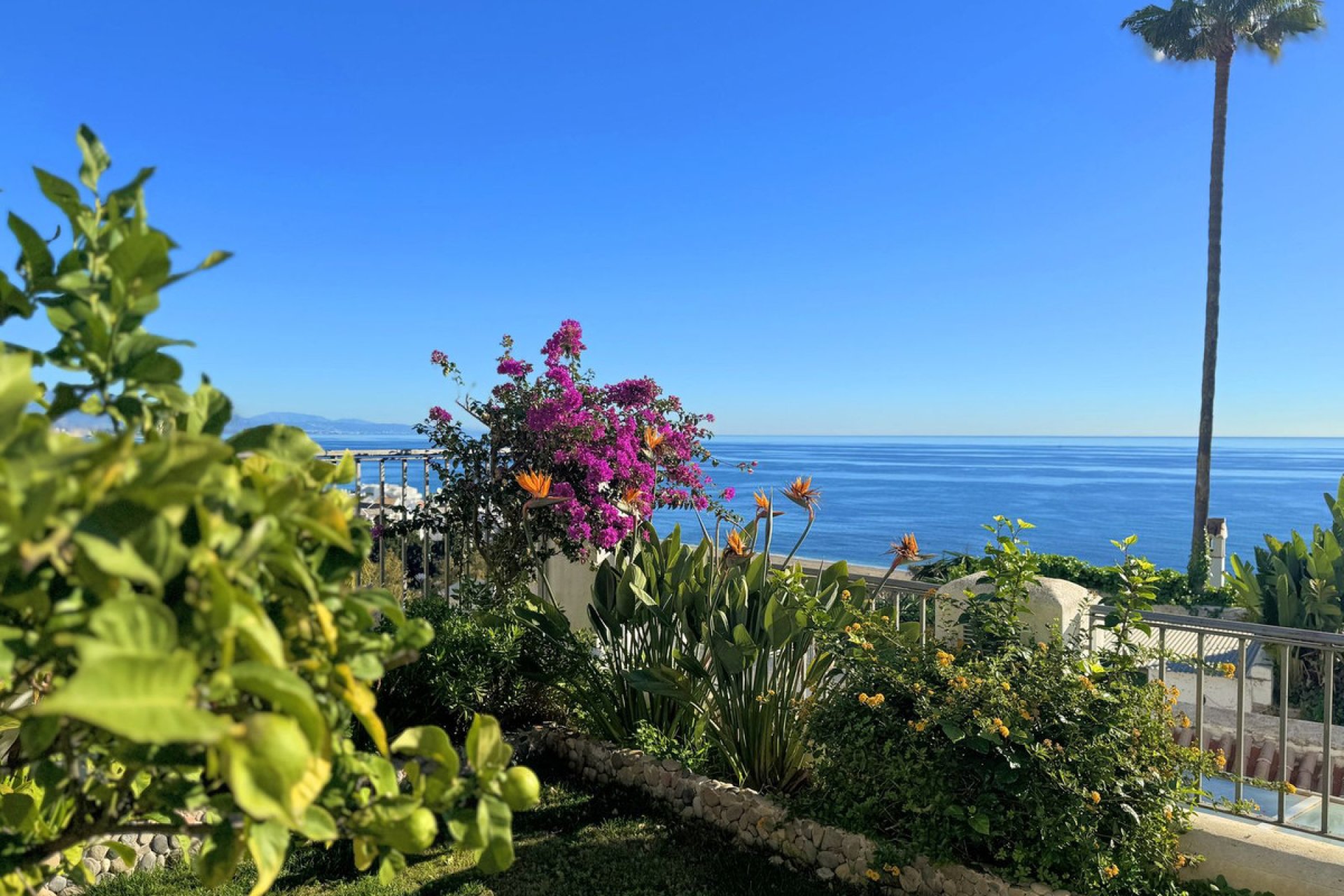 Resale - Apartment - Duplex - Casares - Casares Playa