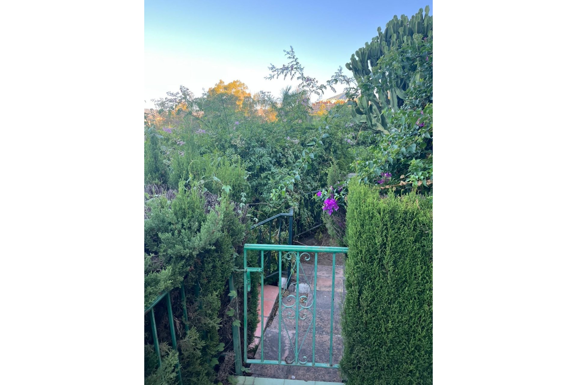 Resale - Apartment - Duplex - Marbella - Nueva Andalucia