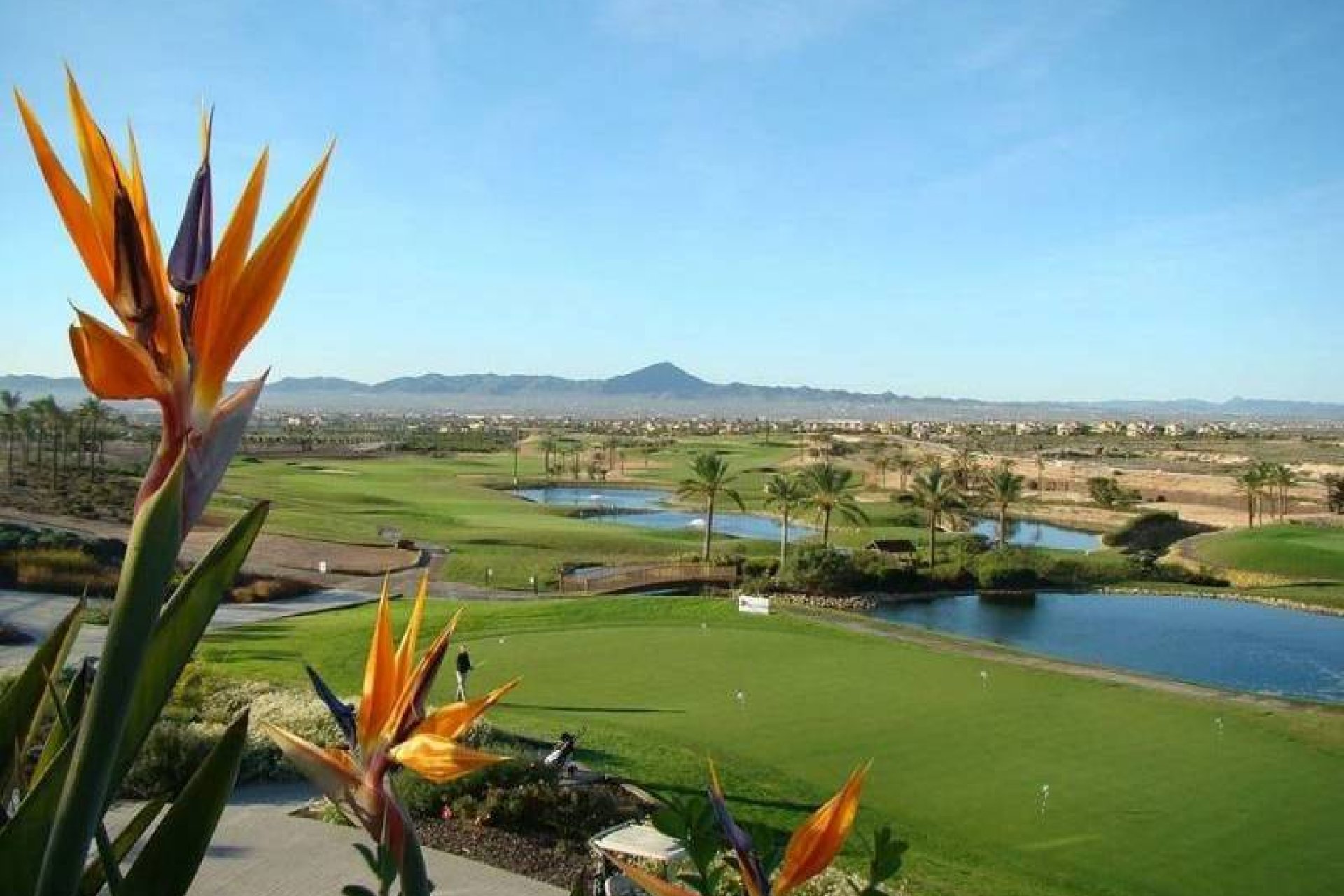 Resale - Apartment - Fuente Alamo - Hacienda del Alamo Golf Resort