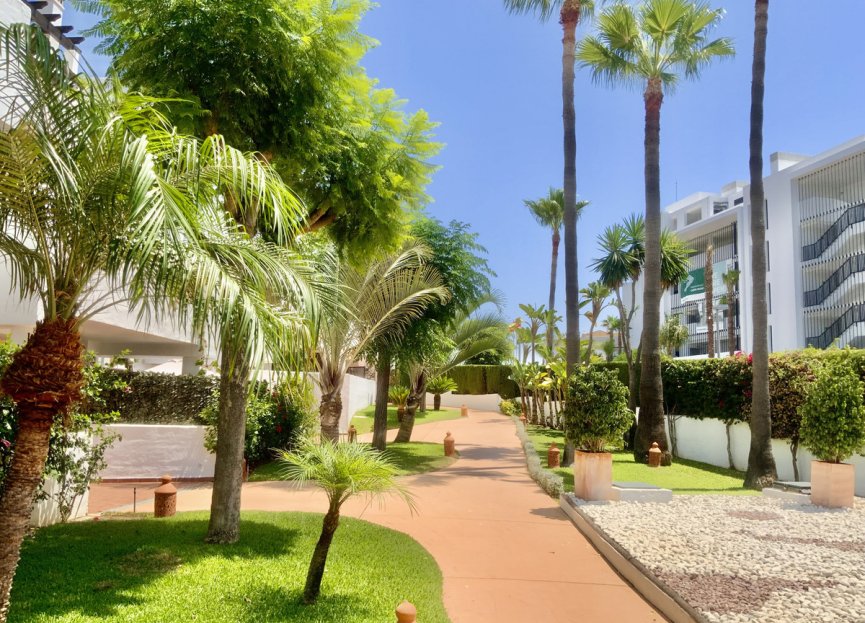 Resale - Apartment - Ground Floor Apartment - Estepona - Costalita