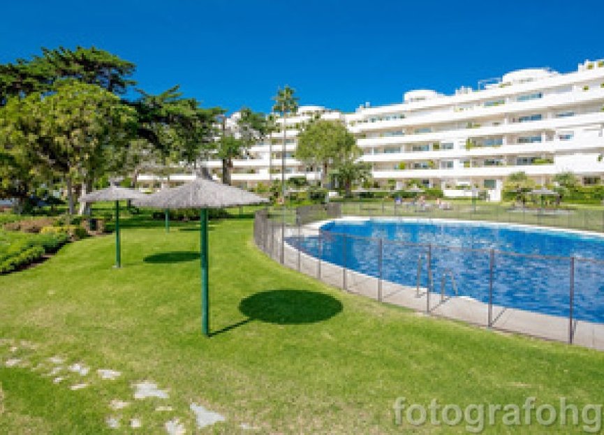 Resale - Apartment - Ground Floor Apartment - Estepona - Estepona Centro