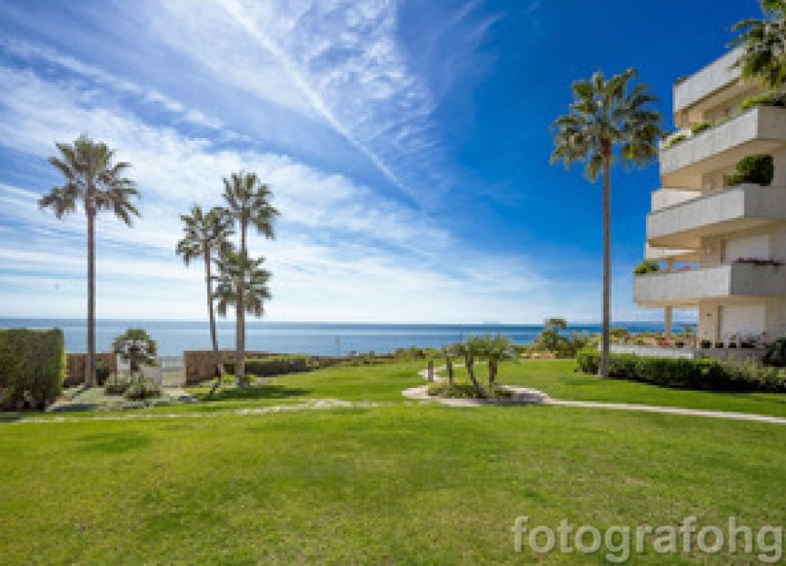 Resale - Apartment - Ground Floor Apartment - Estepona - Estepona Centro