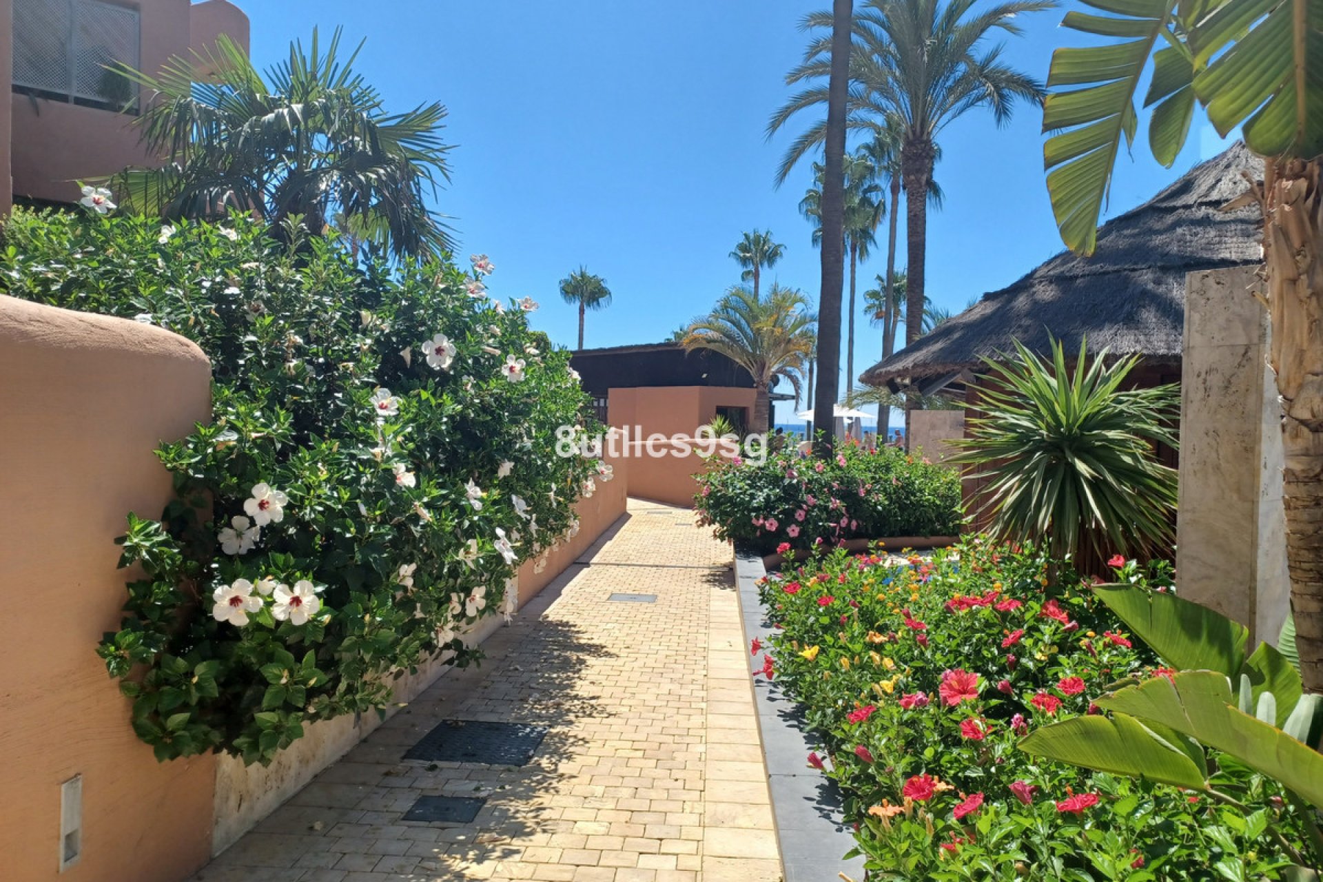 Resale - Apartment - Ground Floor Apartment - Estepona - Estepona Centro