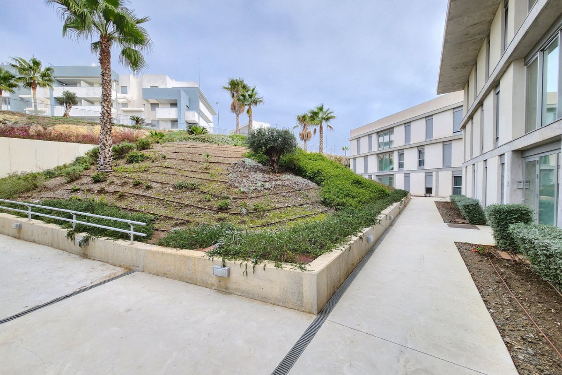 Resale - Apartment - Ground Floor Apartment - Estepona - Estepona Centro