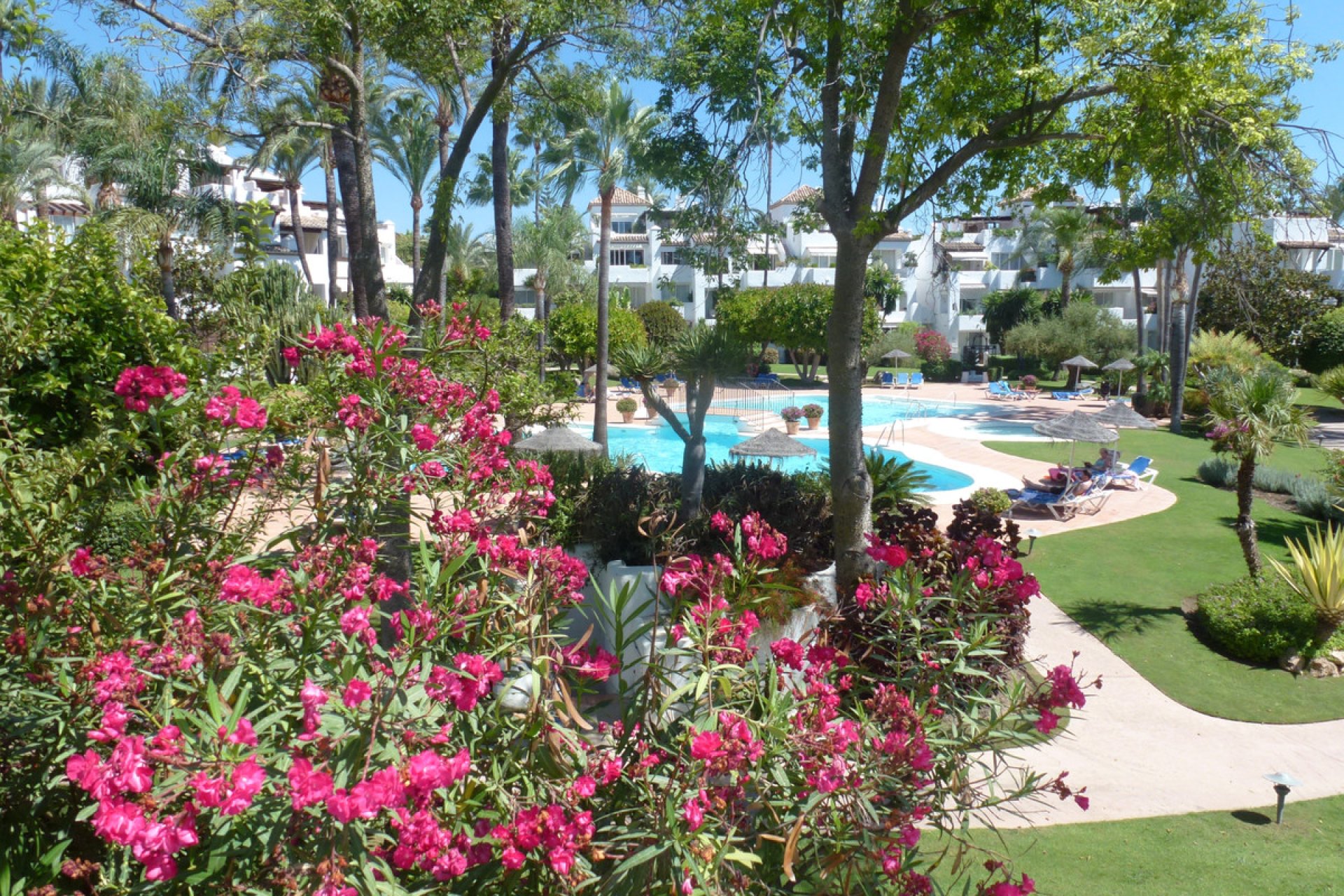 Resale - Apartment - Ground Floor Apartment - Estepona - Estepona Centro