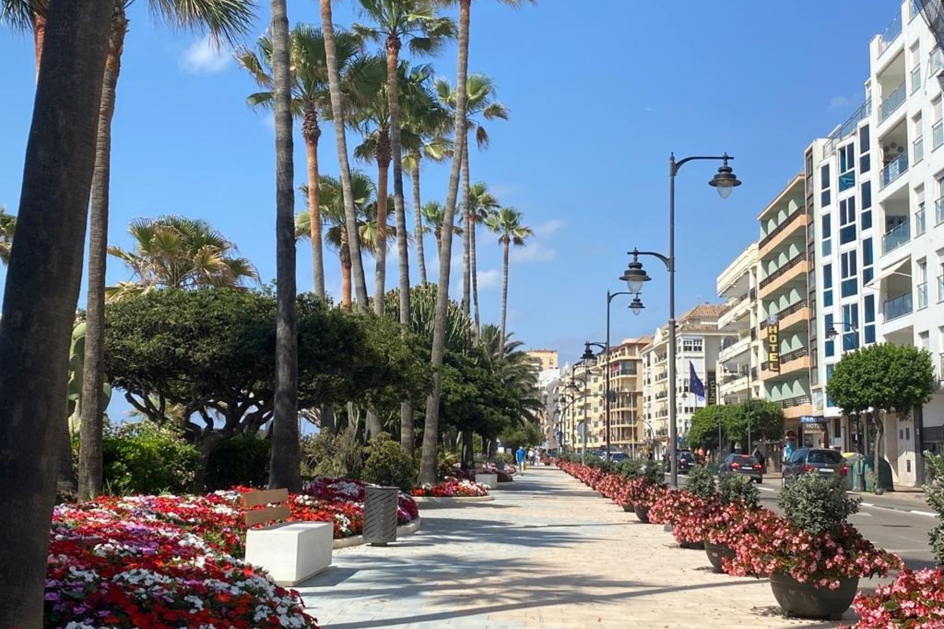 Resale - Apartment - Ground Floor Apartment - Estepona - Estepona Centro