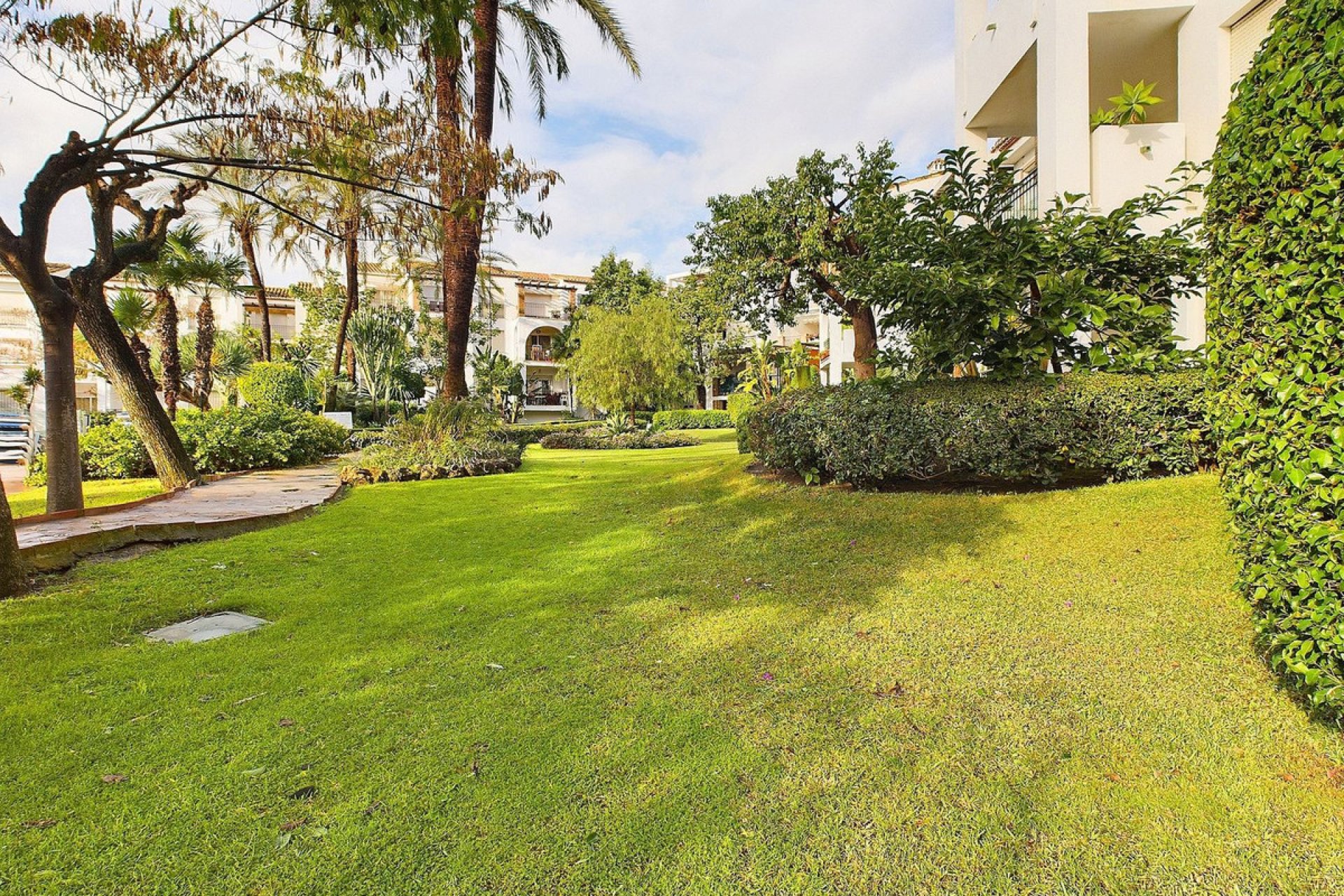 Resale - Apartment - Ground Floor Apartment - Estepona - Estepona Centro