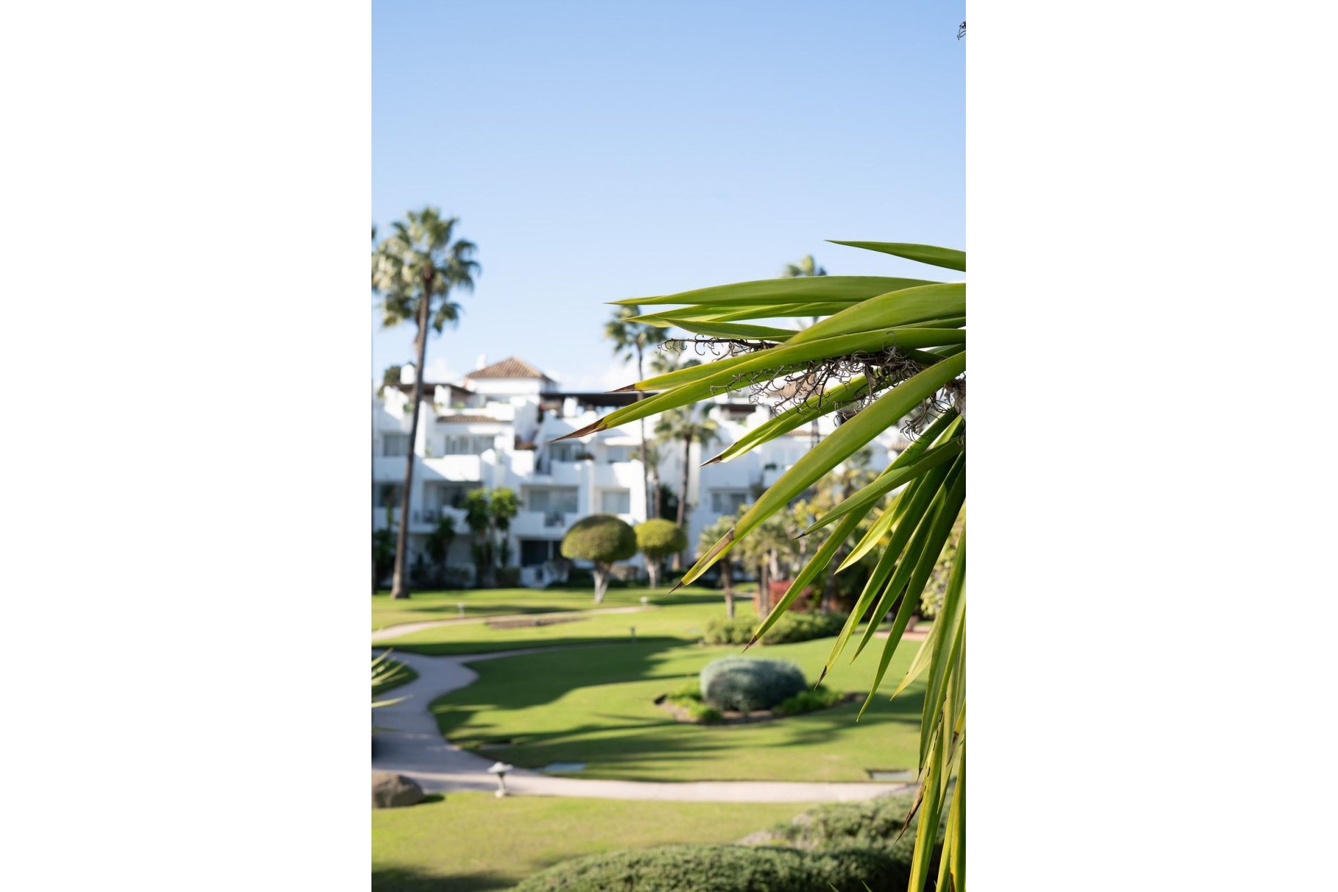 Resale - Apartment - Ground Floor Apartment - Estepona - Estepona Centro