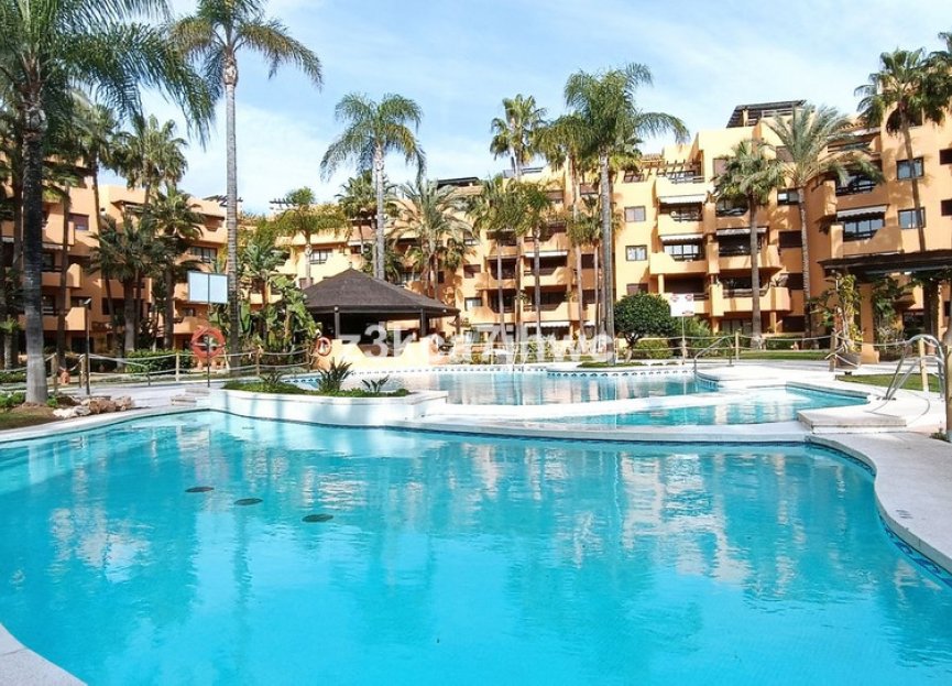 Resale - Apartment - Ground Floor Apartment - Estepona - Estepona Centro