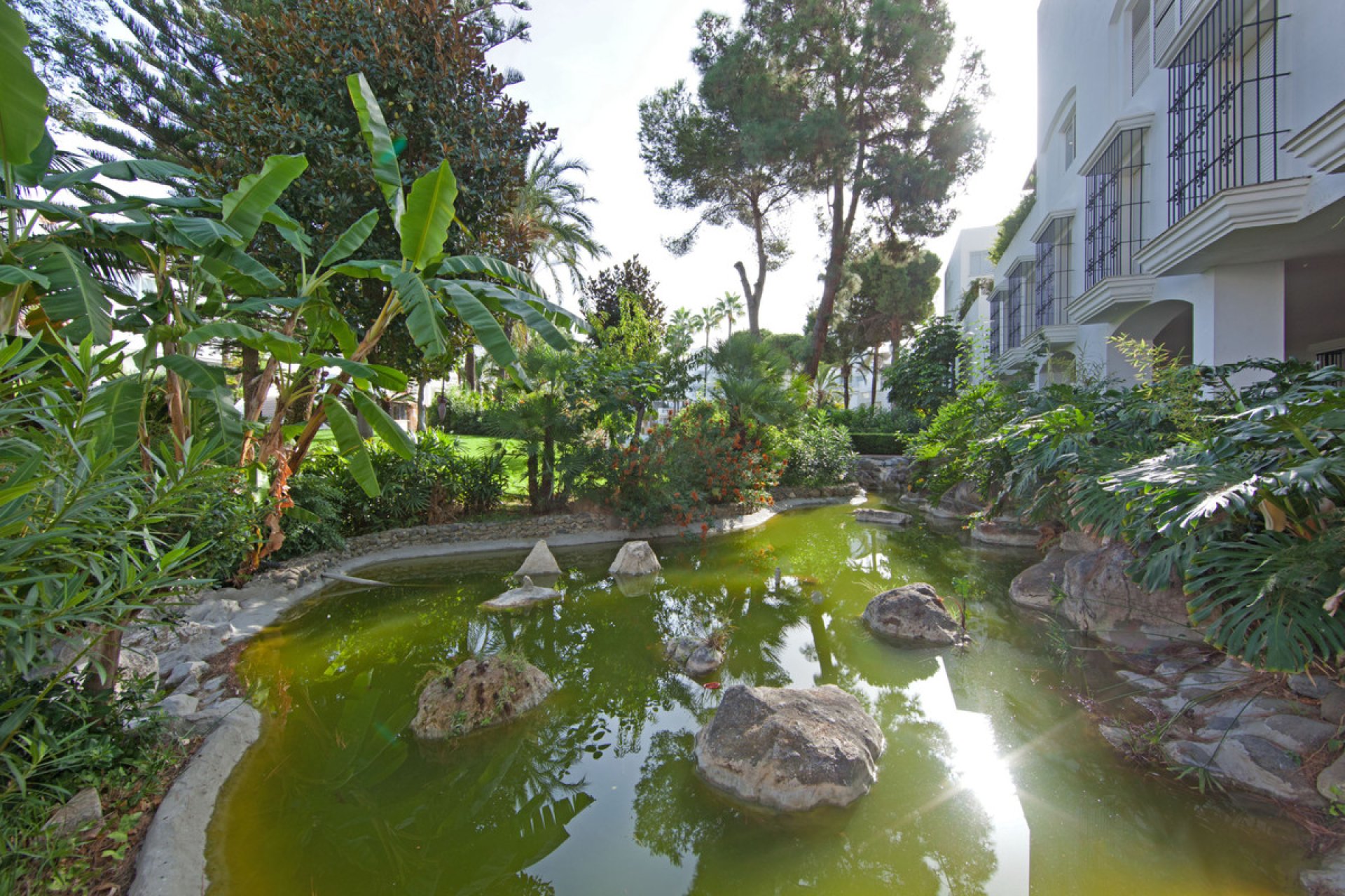 Resale - Apartment - Ground Floor Apartment - Marbella - Elviria