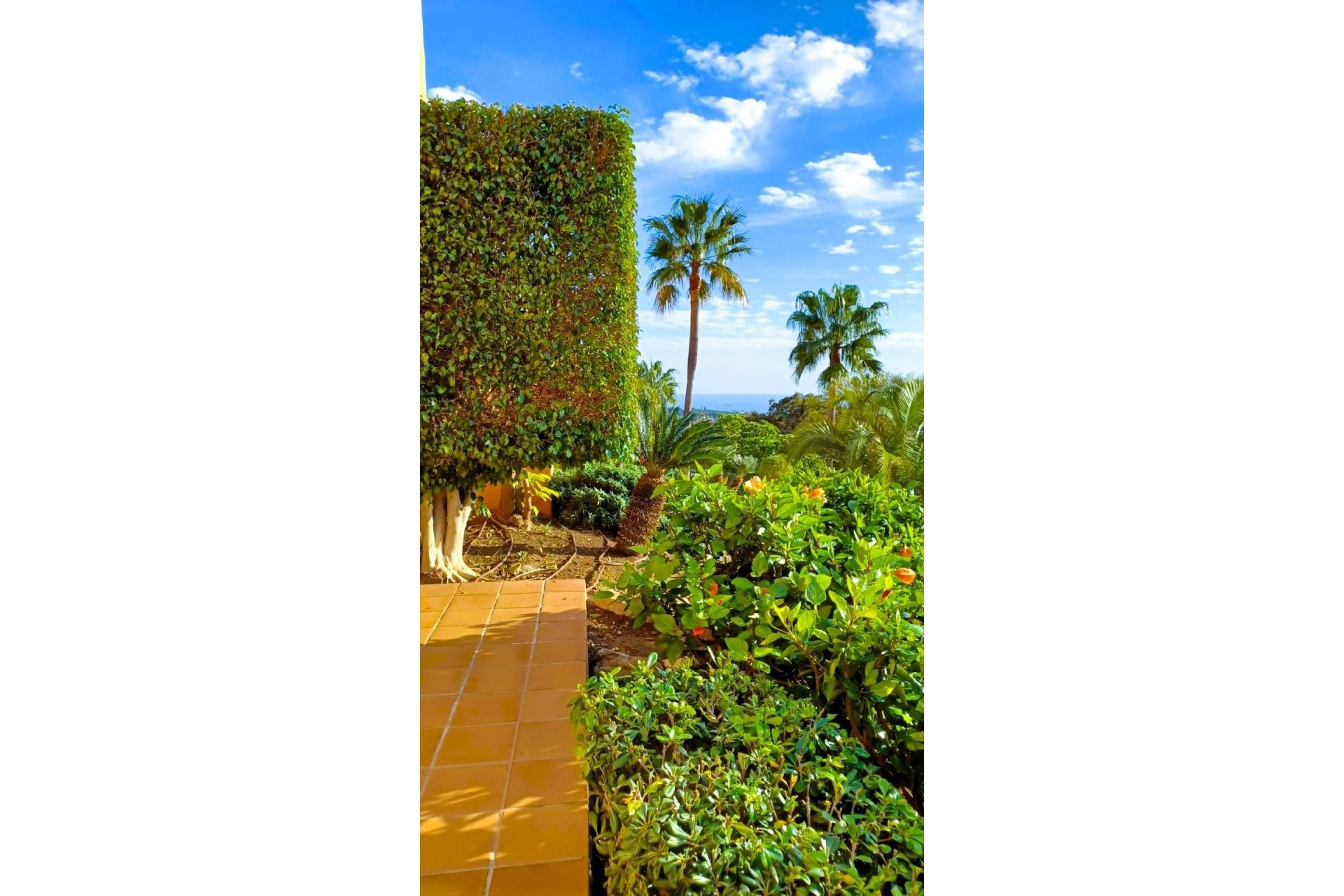 Resale - Apartment - Ground Floor Apartment - Marbella - Elviria