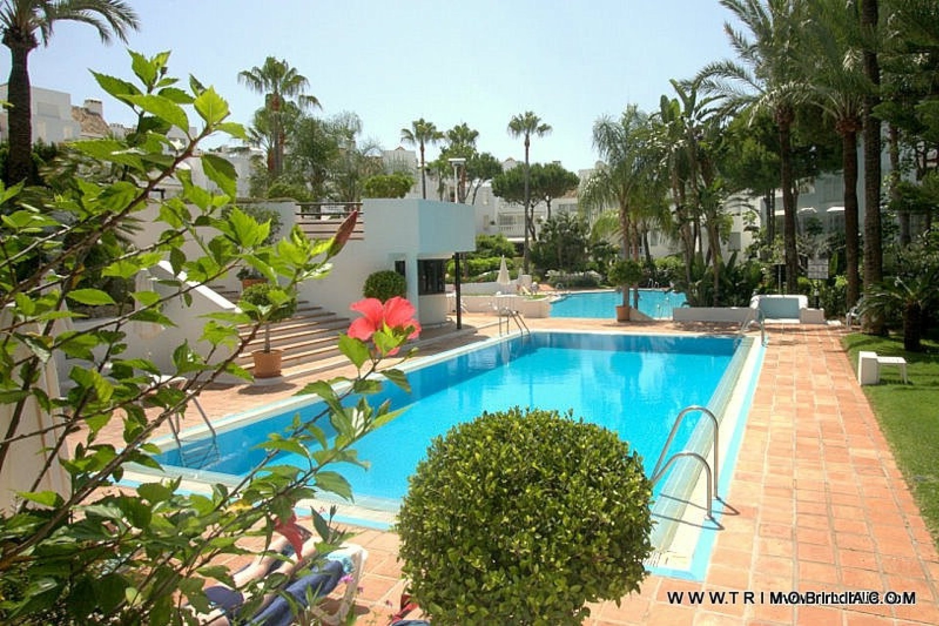 Resale - Apartment - Ground Floor Apartment - Marbella - Elviria