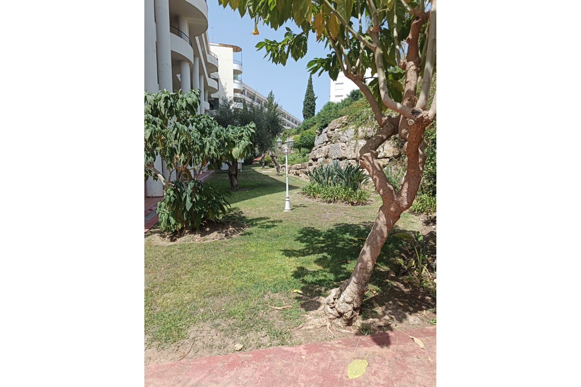 Resale - Apartment - Ground Floor Apartment - Marbella - Guadalmina Alta