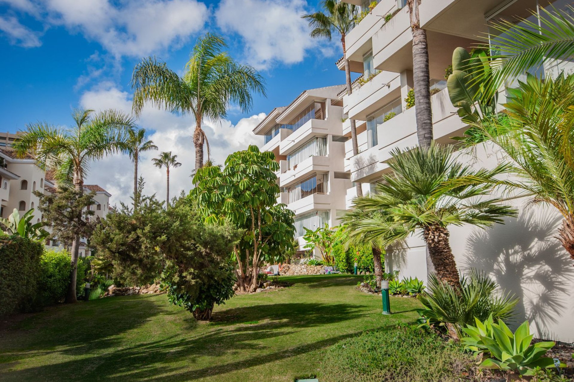 Resale - Apartment - Ground Floor Apartment - Marbella - Marbella Centro