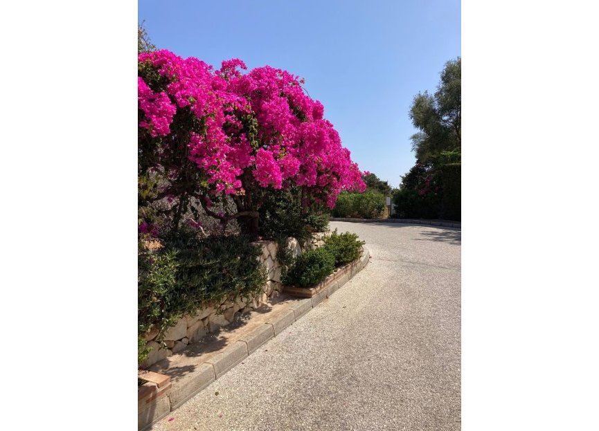 Resale - Apartment - Ground Floor Apartment - Marbella - Marbesa