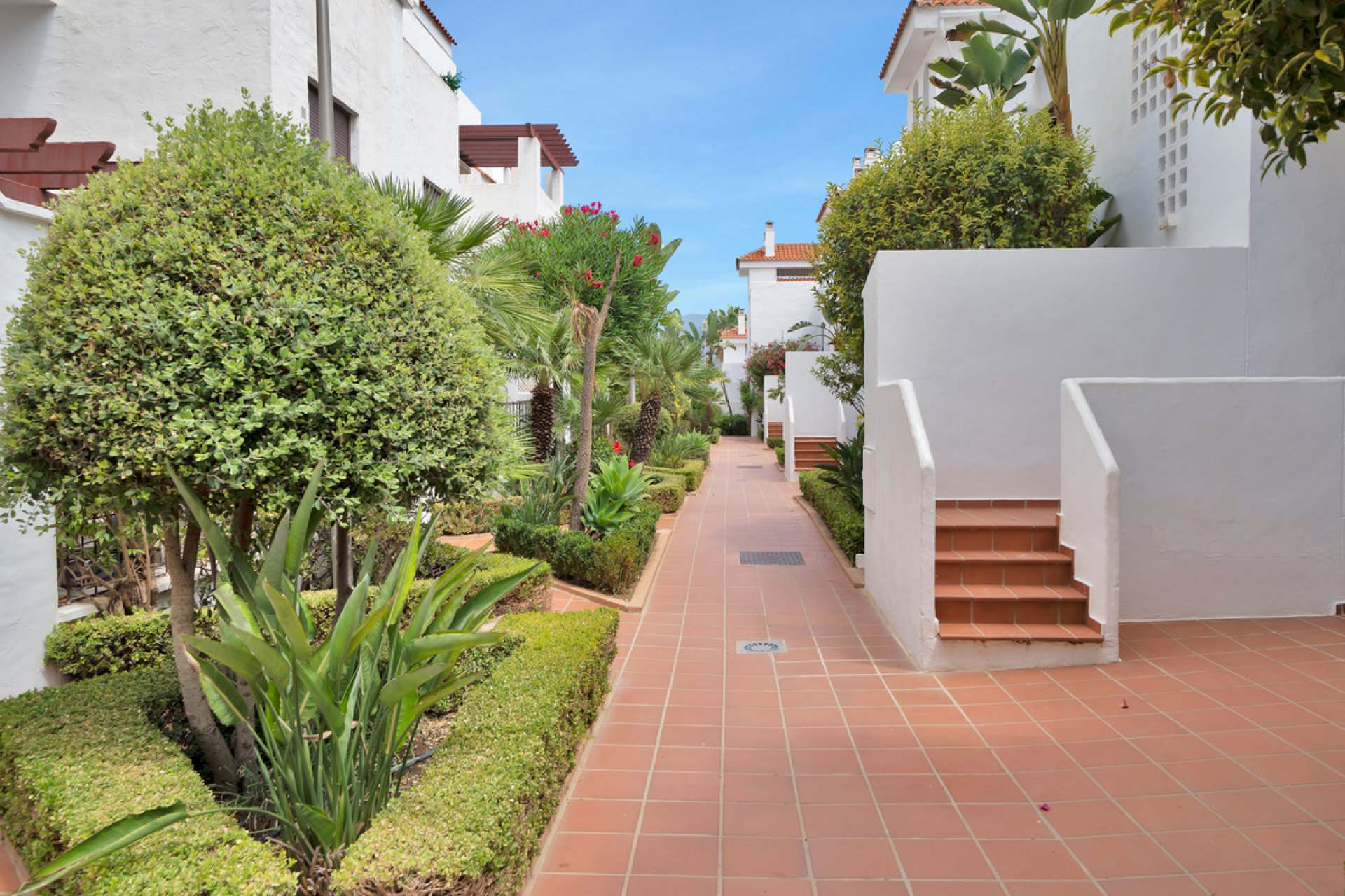 Resale - Apartment - Ground Floor Apartment - Marbella - Nueva Andalucia