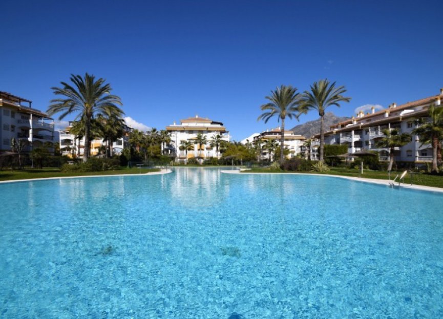 Resale - Apartment - Ground Floor Apartment - Marbella - Nueva Andalucia