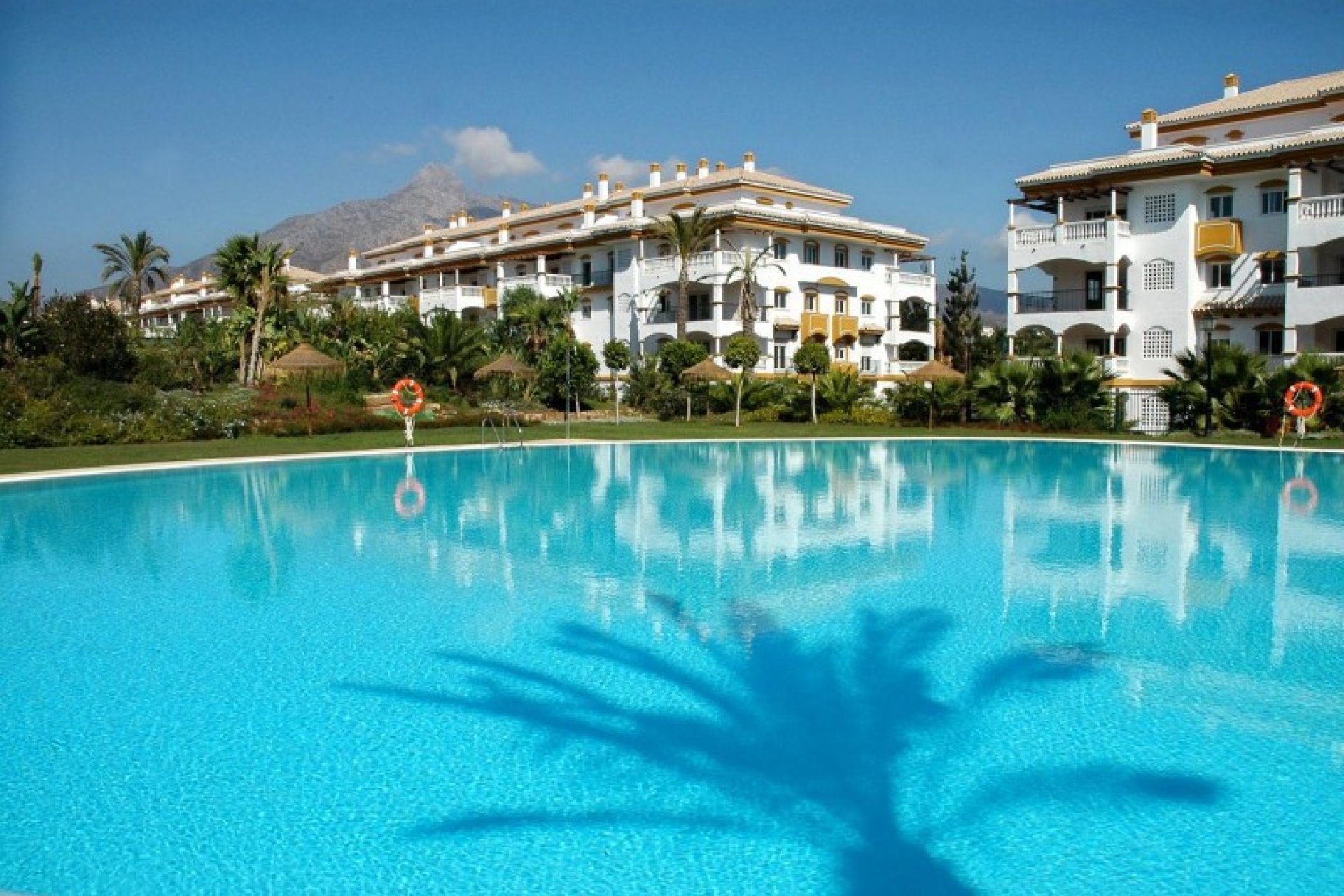 Resale - Apartment - Ground Floor Apartment - Marbella - Nueva Andalucia