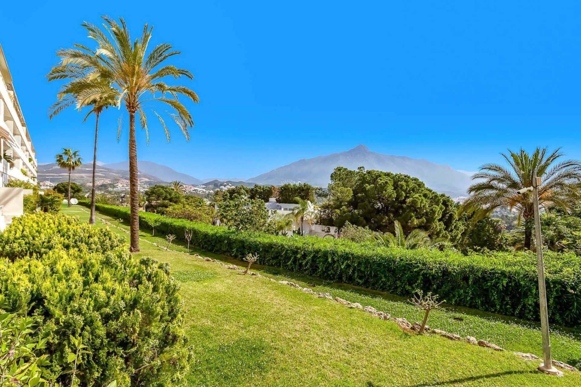 Resale - Apartment - Ground Floor Apartment - Marbella - Nueva Andalucia