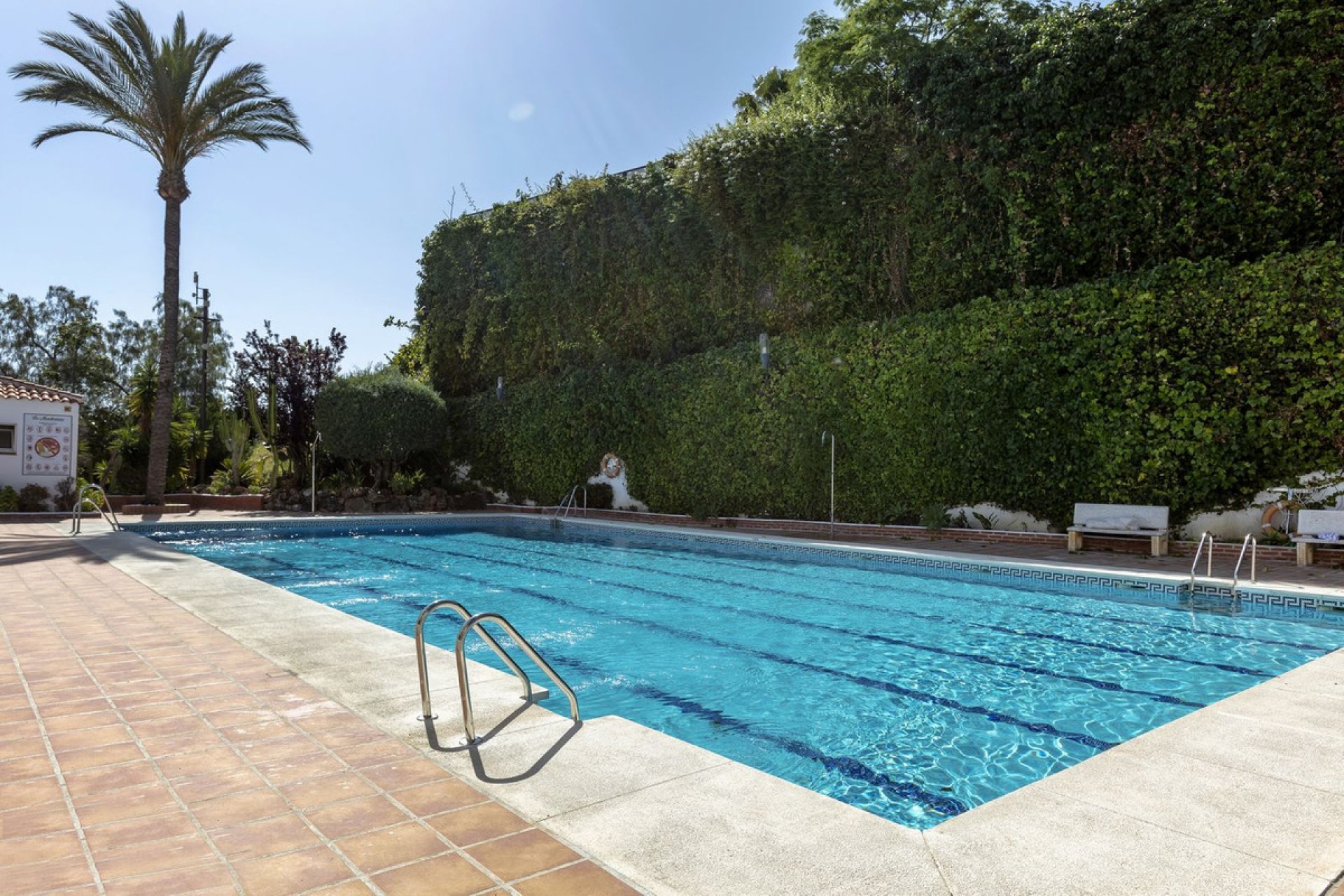 Resale - Apartment - Ground Floor Apartment - Marbella - Nueva Andalucia