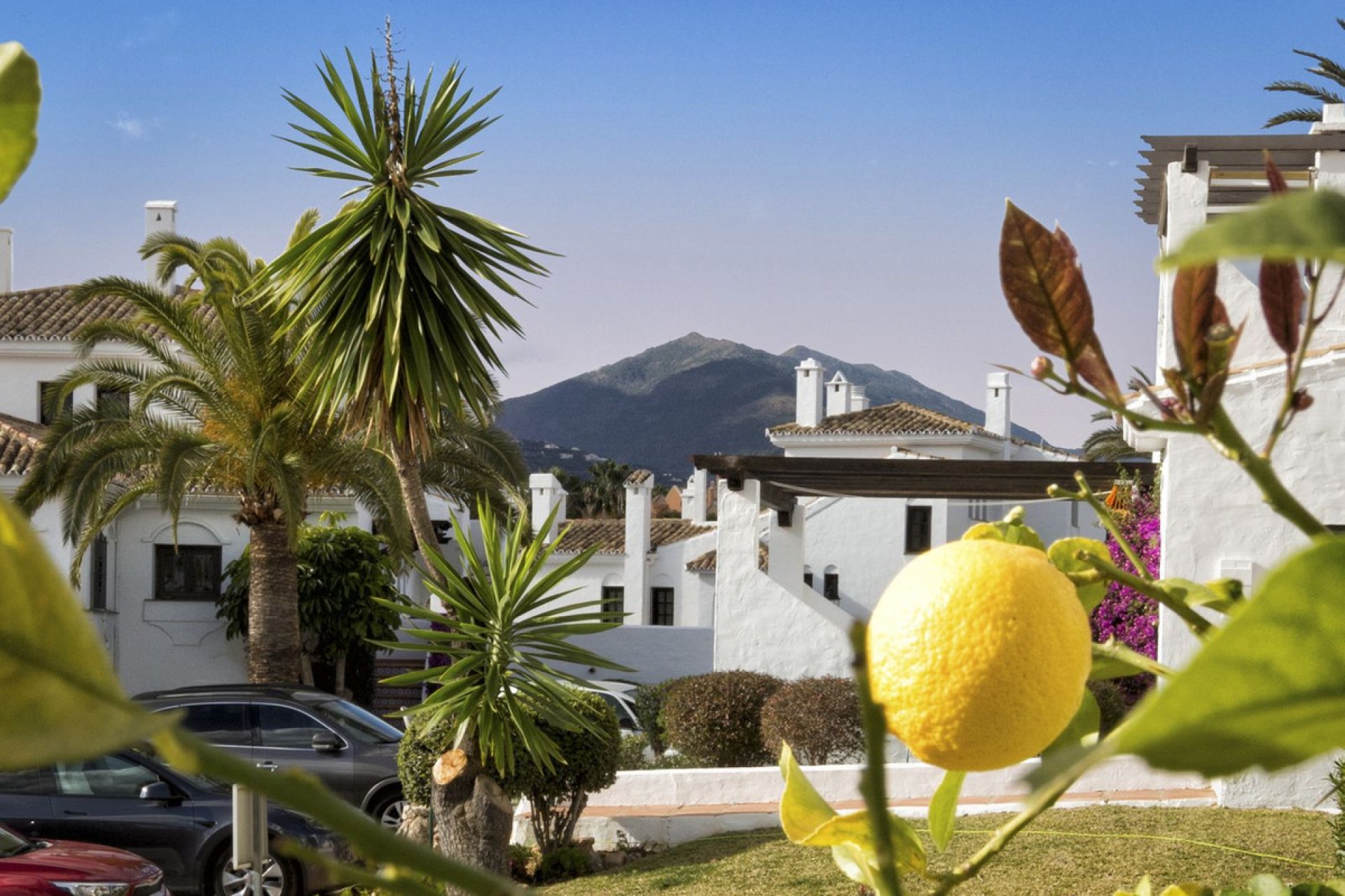 Resale - Apartment - Ground Floor Apartment - Marbella - Nueva Andalucia