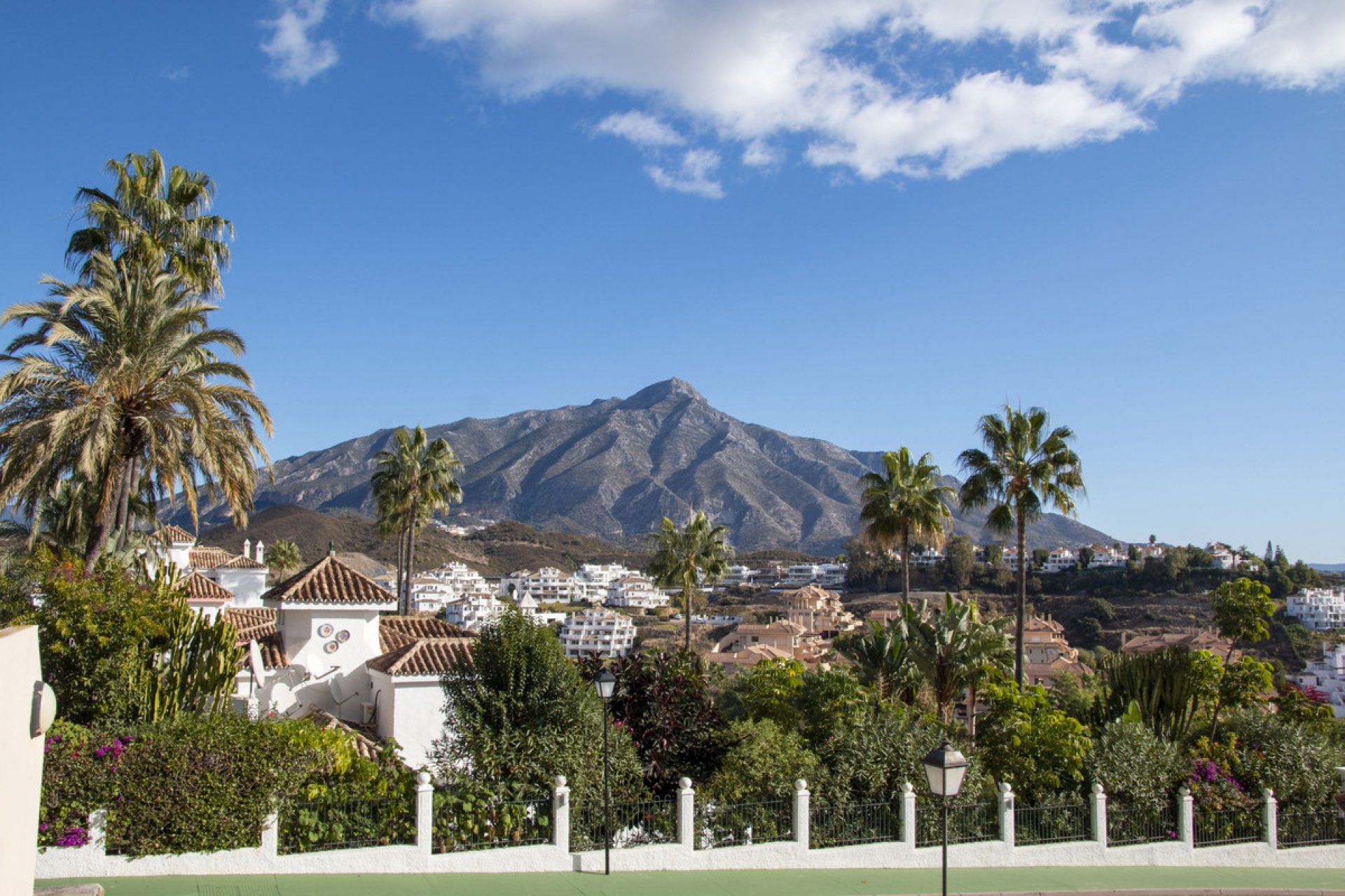 Resale - Apartment - Ground Floor Apartment - Marbella - Nueva Andalucia