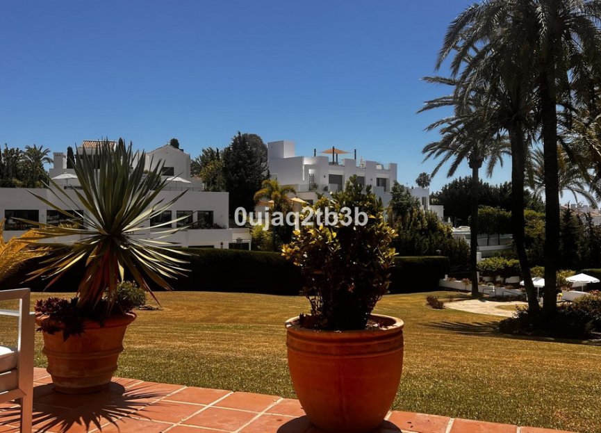 Resale - Apartment - Ground Floor Apartment - Marbella - Nueva Andalucia