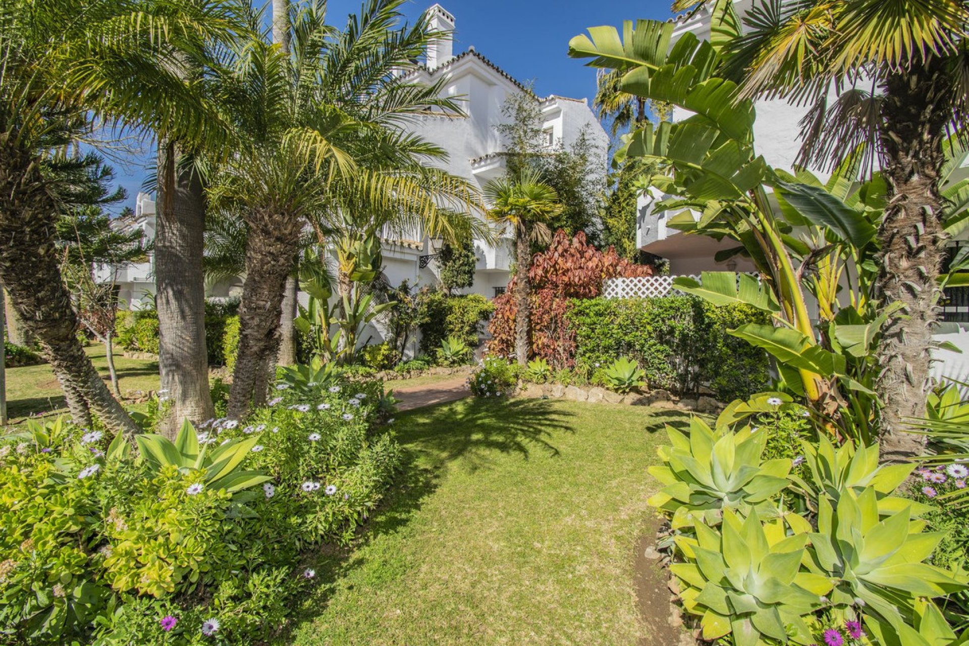 Resale - Apartment - Ground Floor Apartment - Marbella - Nueva Andalucia