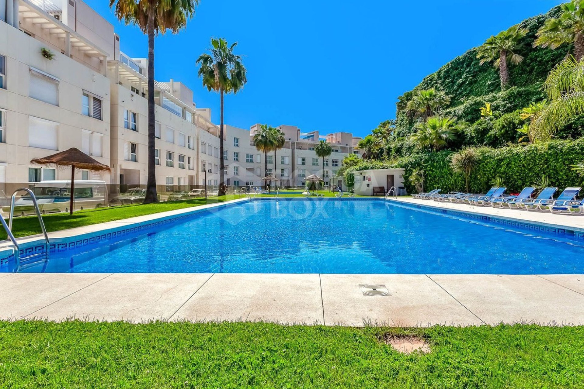 Resale - Apartment - Ground Floor Apartment - Marbella - Nueva Andalucia