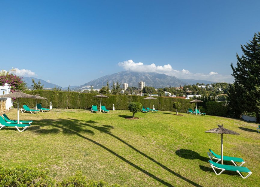 Resale - Apartment - Ground Floor Apartment - Marbella - Nueva Andalucia