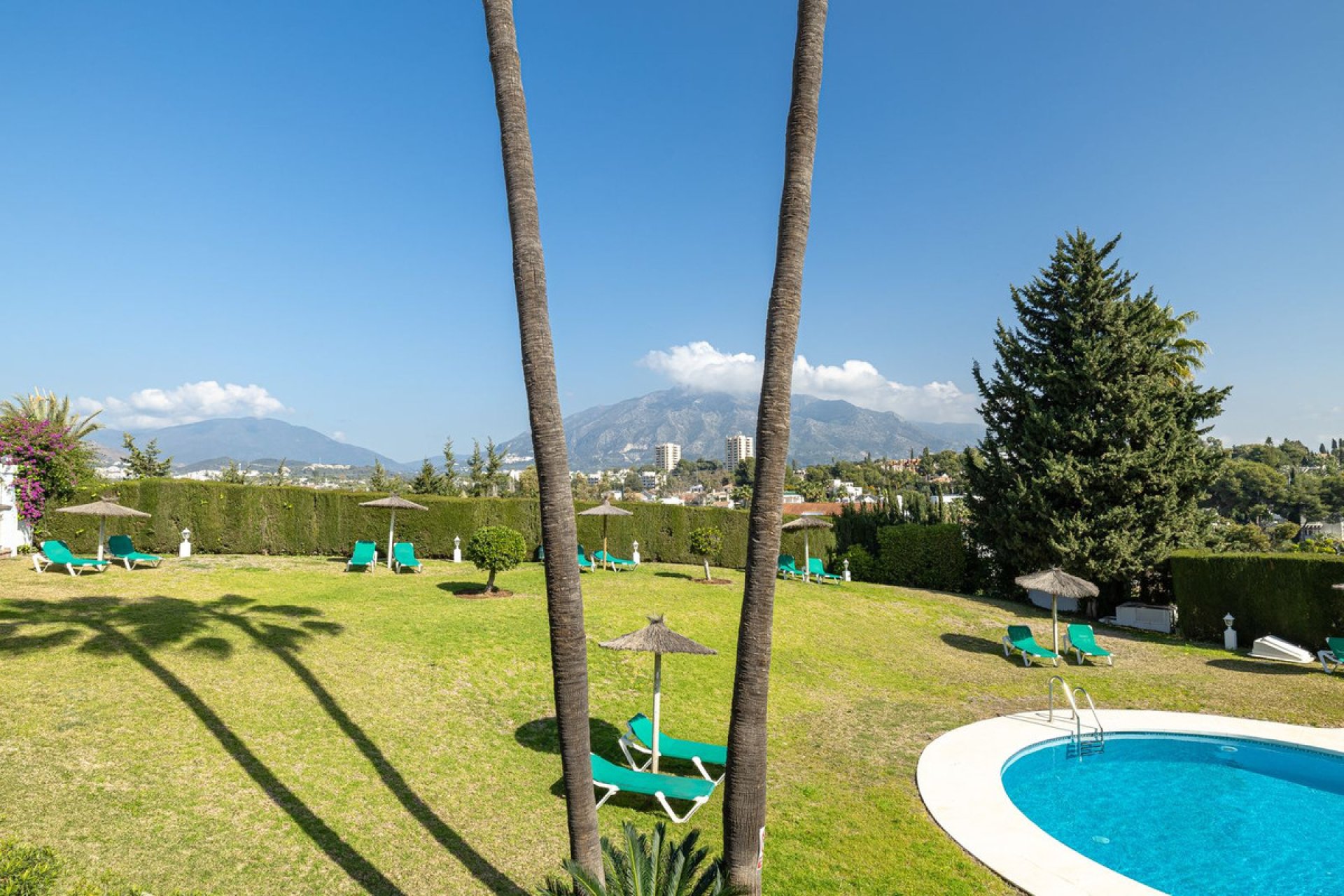 Resale - Apartment - Ground Floor Apartment - Marbella - Nueva Andalucia