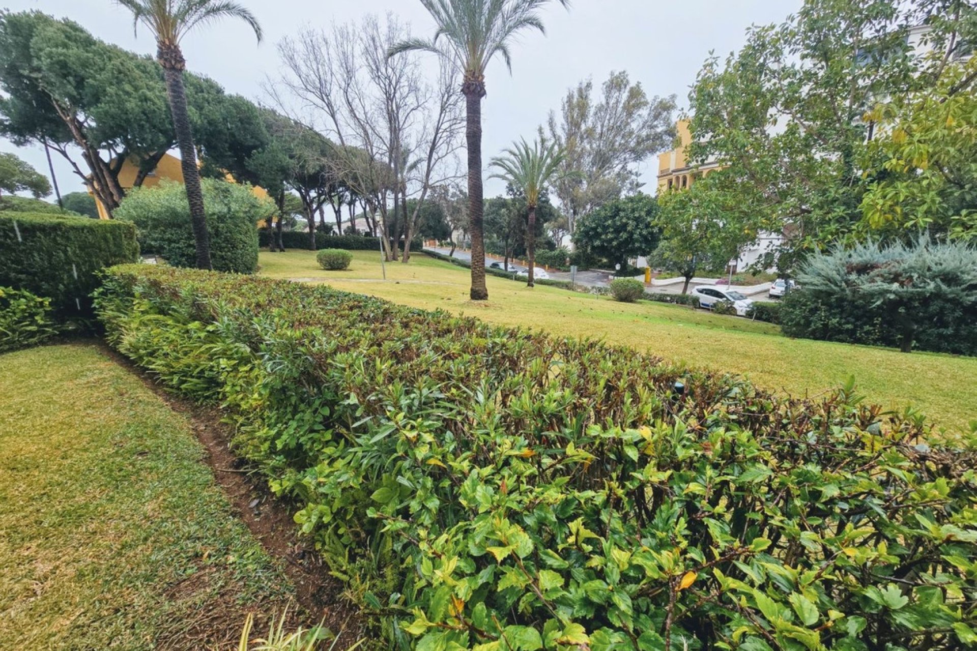 Resale - Apartment - Ground Floor Apartment - Marbella - Puerto de Cabopino