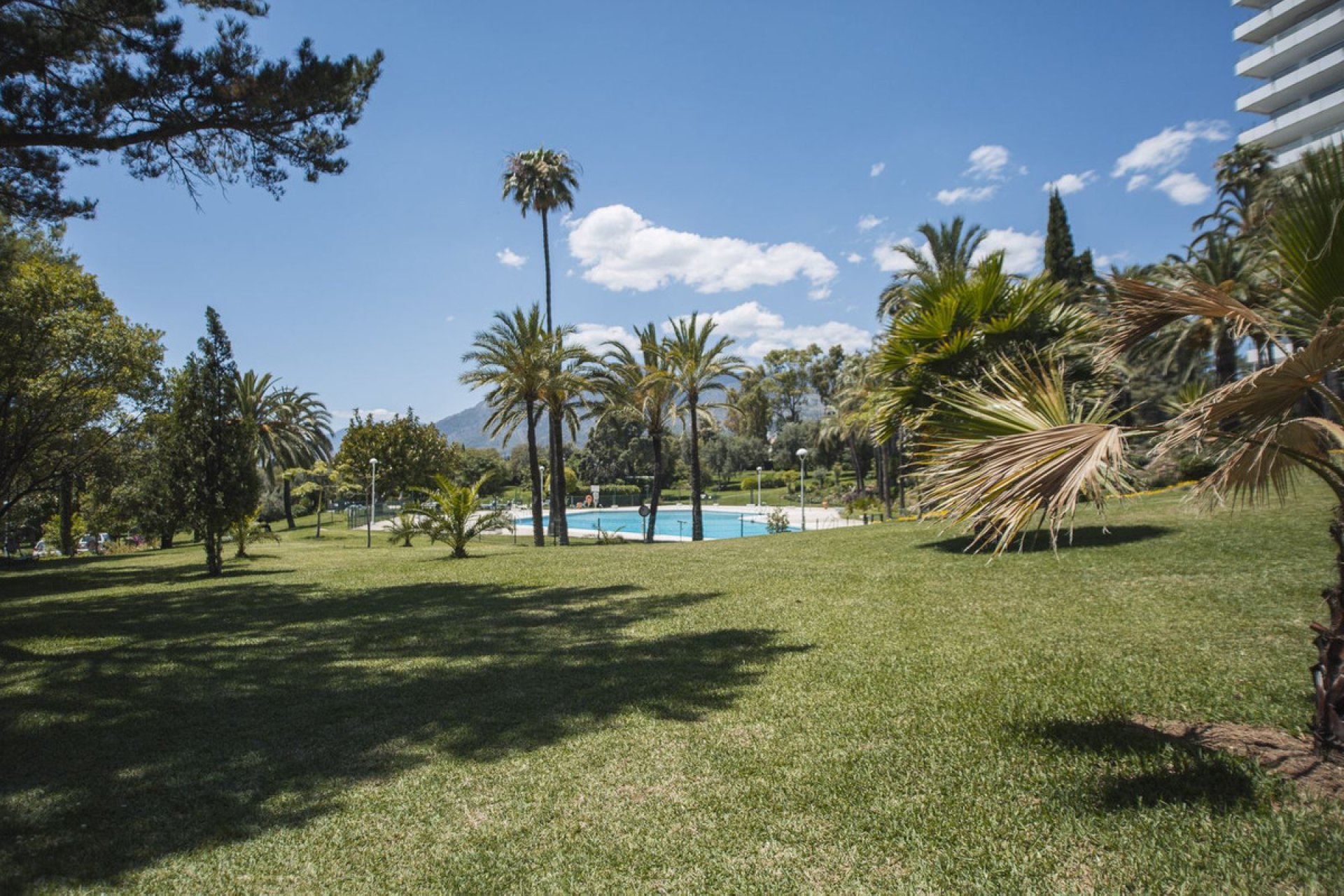 Resale - Apartment - Ground Floor Apartment - Marbella - Río Real