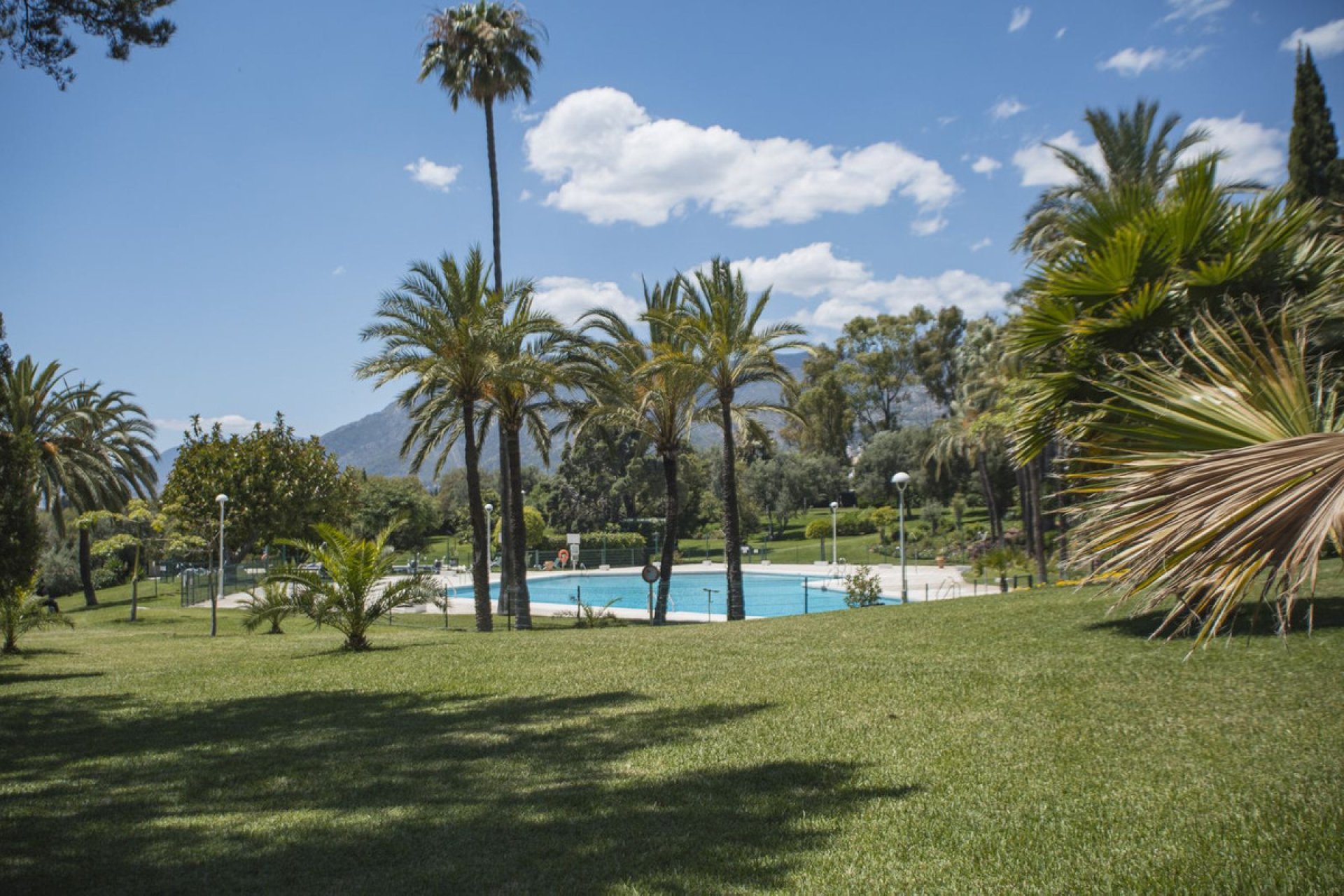 Resale - Apartment - Ground Floor Apartment - Marbella - Río Real