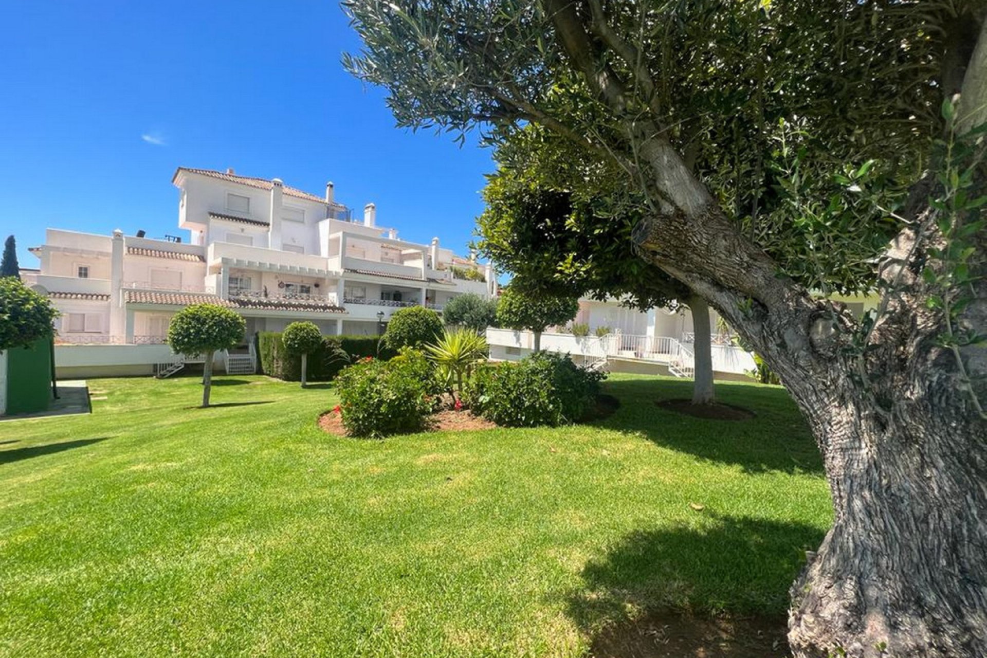 Resale - Apartment - Ground Floor Apartment - Marbella - Río Real