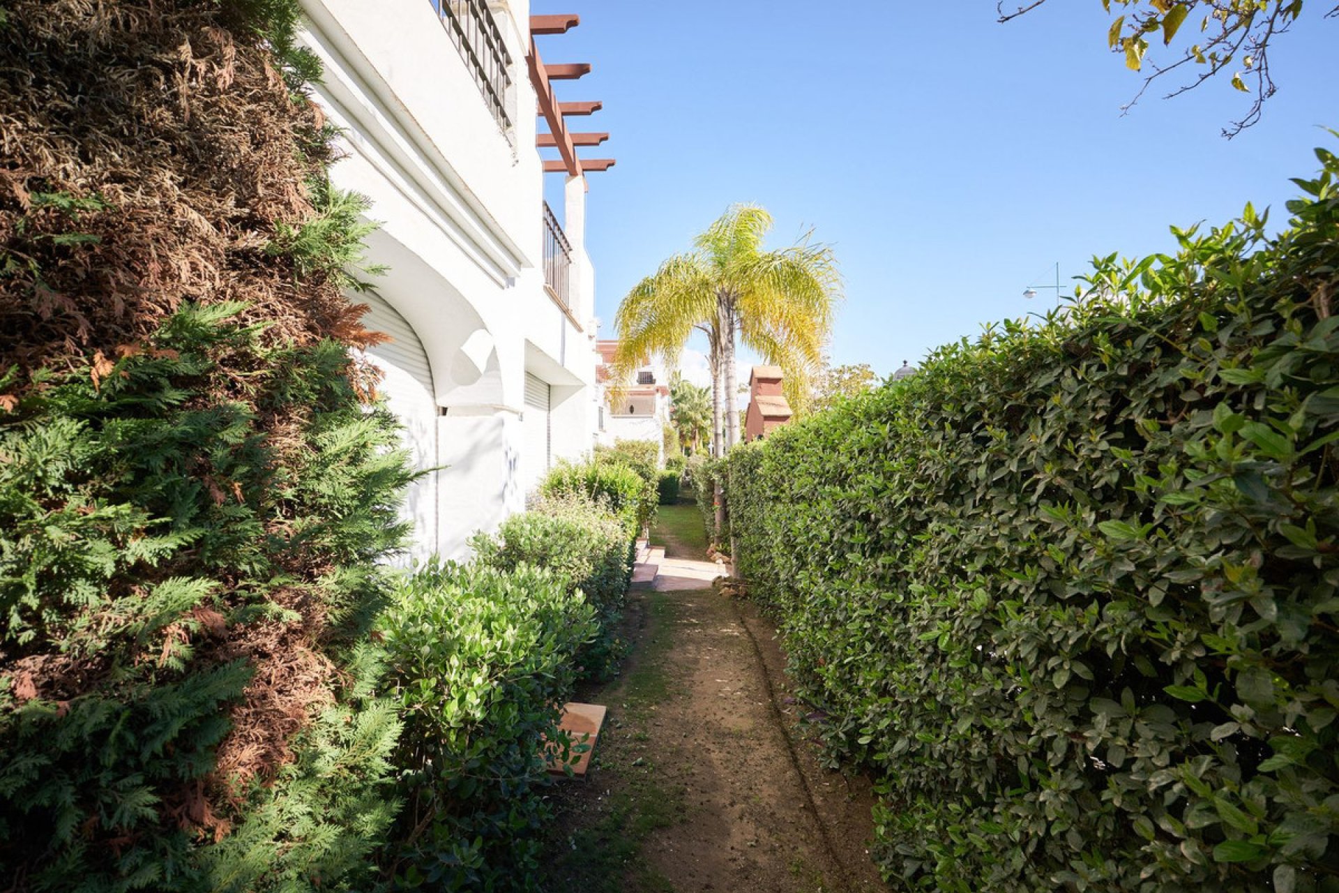 Resale - Apartment - Ground Floor Apartment - Marbella - San Pedro De Alcantara