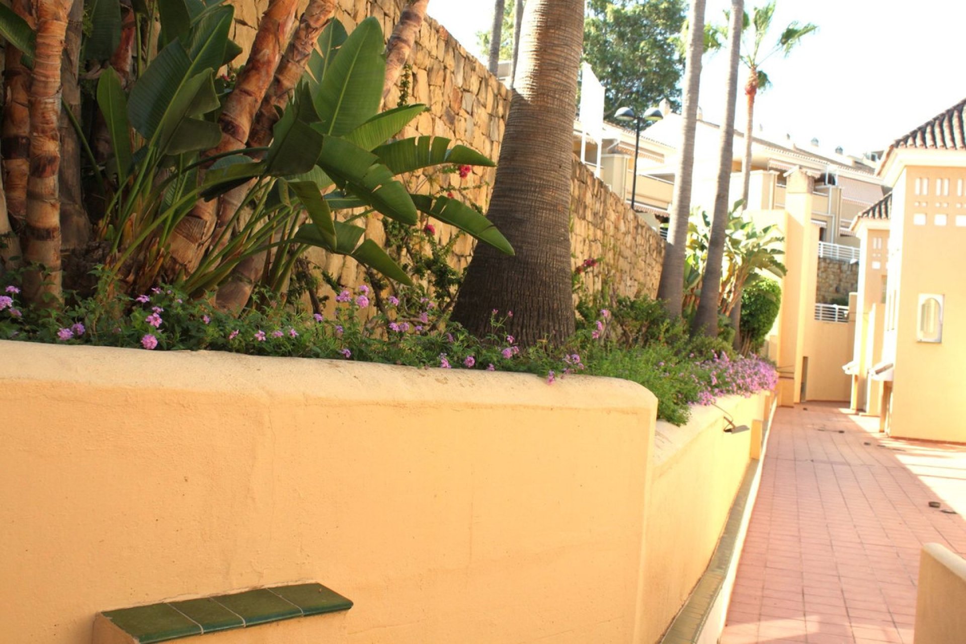 Resale - Apartment - Ground Floor Apartment - Marbella - San Pedro De Alcantara